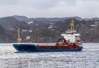 బల్క్ క్యారియర్ అమ్మకానీకి వుంది