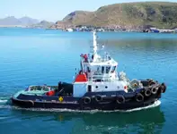 బల్క్ క్యారియర్ అమ్మకానీకి వుంది