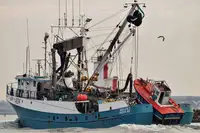 సీనర్ అమ్మకానీకి వుంది