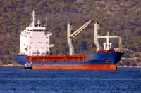 బల్క్ క్యారియర్ అమ్మకానీకి వుంది