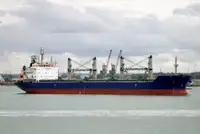 బల్క్ క్యారియర్ అమ్మకానీకి వుంది