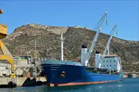 బల్క్ క్యారియర్ అమ్మకానీకి వుంది