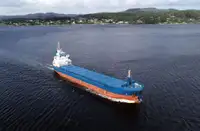 బల్క్ క్యారియర్ అమ్మకానీకి వుంది