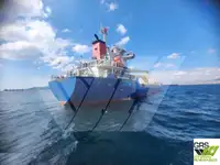 బల్క్ క్యారియర్ అమ్మకానీకి వుంది