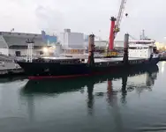 బల్క్ క్యారియర్ అమ్మకానీకి వుంది