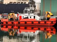 బహుళ ప్రయోజన అమ్మకానీకి వుంది