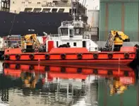 బహుళ ప్రయోజన అమ్మకానీకి వుంది