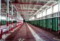 RORO ఓడ అమ్మకానీకి వుంది