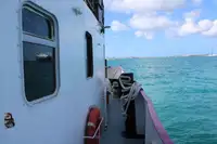 బహుళ ప్రయోజన అమ్మకానీకి వుంది