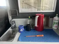 కాటమరాన్ అమ్మకానీకి వుంది